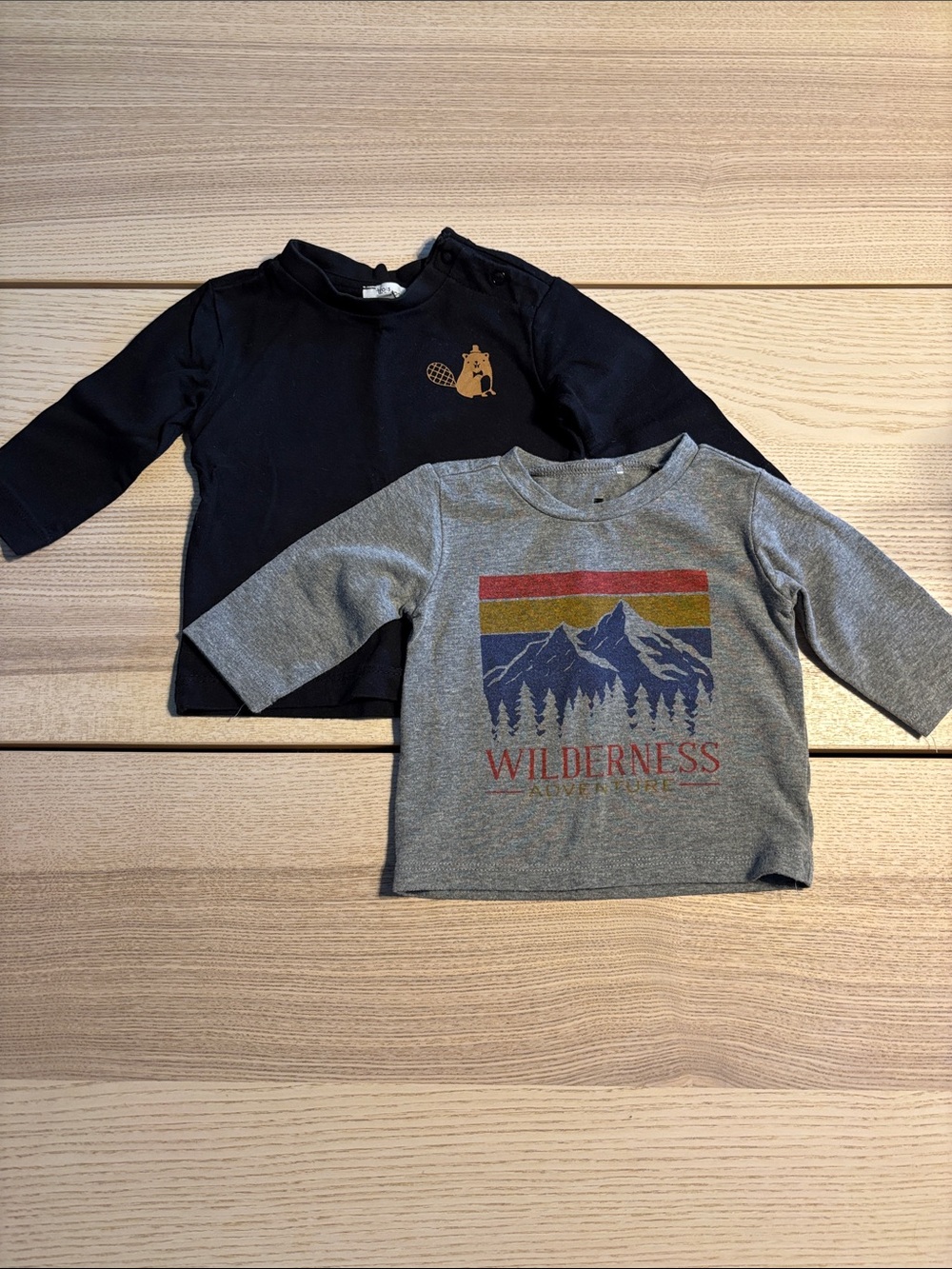 Kids Long-Sleeve Wilderness Graphic Tee - Gray